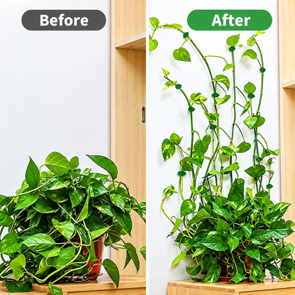 Leaf-Shaped Plant Climbing Wall Fixture Clips